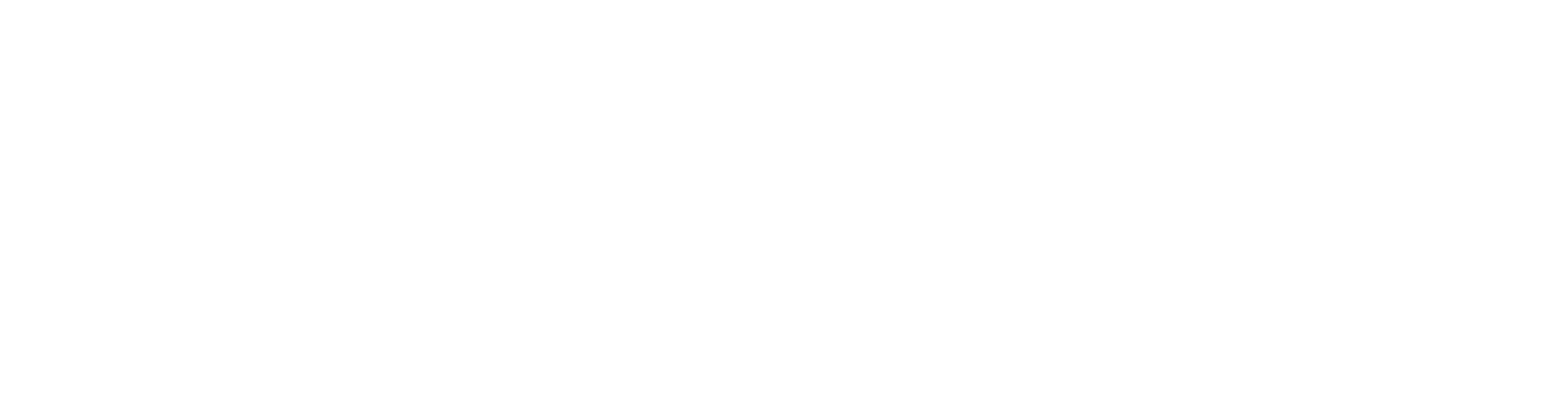 Datawiser